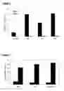 Fig. 07 - STABLE IGG4 ANTIBODIES