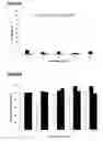 Fig. 09 - STABLE IGG4 ANTIBODIES