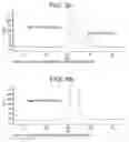 Fig. 09 - PROCESS FOR CORRECTION OF A DISULFIDE MISFOLD IN Fc MOLECULES