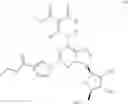 Fig. 09 - Process for preparing an A-adenosine receptor agonist and its polymorphs