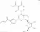 Fig. 10 - Process for preparing an A-adenosine receptor agonist and its polymorphs