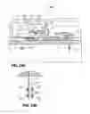 Fig. 13 - Device and Method for Preventing Diabetic Complications