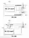 Fig. 22 - Device and Method for Preventing Diabetic Complications