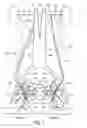 Fig. 02 - METHODS AND APPARATUSES FOR VASCULAR AND PROSTATE TREATMENT