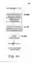 Fig. 08 - Method for network traffic mirroring with data privacy