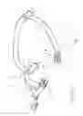 Fig. 02 - COLLAR AND LEASH ASSEMBLY