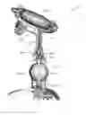 Fig. 14 - Water gun assembly