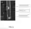 Fig. 06 - Service-detectable analyte sensors and methods of using and making same
