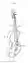 Fig. 09 - Instrument housing case