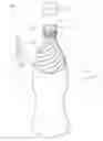 Fig. 01 - Bottle