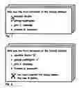 Fig. 02 - System and method for playing a game of balanced questions