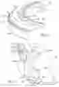Fig. 04 - ANTI-ROLL RIBBED SEAL