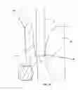 Fig. 09 - Connection means and method for connecting at least two fluid-conducting medical-technical systems, as well as medical-technical apparatus