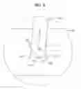 Fig. 09 - DOOR GUARD ASSEMBLY AND REFRIGERATOR HAVING THE SAME