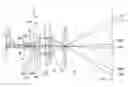Fig. 01 - Projection device for the holographic reconstruction of scenes