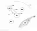 Fig. 01 - Parametric compression of rank-1 analog feedback