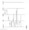 Fig. 04 - Telecommunications network responsive to server-provided location information