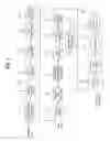 Fig. 02 - DTV receiving system and method of processing broadcast data therein