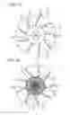 Fig. 02 - Resin fan