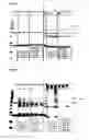 Fig. 08 - VACCINES FOR MALARIA