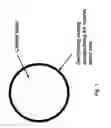 Fig. 02 - Tablet composition for the in-situ generation of chlorine dioxide for use in antimicrobial applications