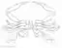 Fig. 01 - PASTEURIZED SWIMMING CRAB BACK FIN