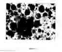Fig. 02 - SOUND-ABSORBING, RESISTANT PANELS AND PROCESS FOR MAKING SAME