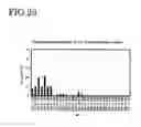 Fig. 22 - Elastomer porous material and method of producing the same