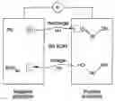 Fig. 01 - Electrochemical cell fabricated via liquid crystal templating