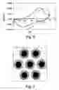 Fig. 05 - Electrochemical cell fabricated via liquid crystal templating