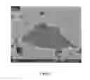Fig. 02 - High-throughput solution processing of large scale graphene and device applications
