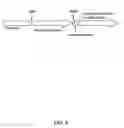 Fig. 06 - Acetolactate synthase (ALS) selectable marker from 