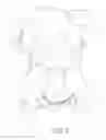 Fig. 04 - Plush writing toy
