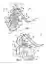 Fig. 02 - Floating toy