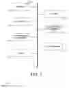 Fig. 02 - Outgoing caller identification