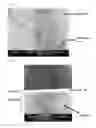 Fig. 12 - SOLID-SOLUTION CARBIDE/CARBONITRIDE POWDER AND METHOD FOR PREPARING THEREOF