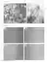 Fig. 13 - SOLID-SOLUTION CARBIDE/CARBONITRIDE POWDER AND METHOD FOR PREPARING THEREOF