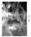 Fig. 11 - Composition and method for controlling invasive aquatic flora