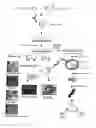 Fig. 01 - Methods of isolating methylated CpG islands