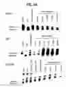 Fig. 04 - Methods of isolating methylated CpG islands