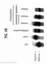 Fig. 07 - Methods of isolating methylated CpG islands