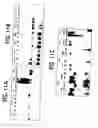 Fig. 18 - Methods of isolating methylated CpG islands