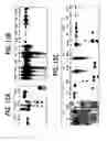 Fig. 19 - Methods of isolating methylated CpG islands