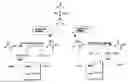 Fig. 01 - Nitrilases, nucleic acids encoding them and methods for making and using them