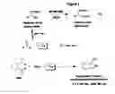 Fig. 03 - Nitrilases, nucleic acids encoding them and methods for making and using them