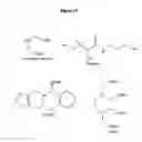 Fig. 21 - Nitrilases, nucleic acids encoding them and methods for making and using them
