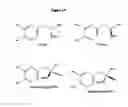 Fig. 25 - Nitrilases, nucleic acids encoding them and methods for making and using them