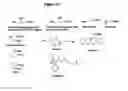Fig. 31 - Nitrilases, nucleic acids encoding them and methods for making and using them