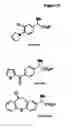 Fig. 33 - Nitrilases, nucleic acids encoding them and methods for making and using them
