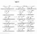 Fig. 42 - Nitrilases, nucleic acids encoding them and methods for making and using them